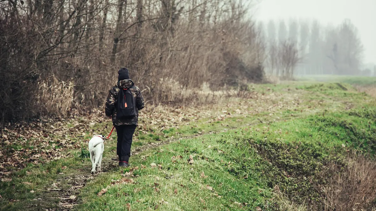 Girl and her dog walking in a rural scene