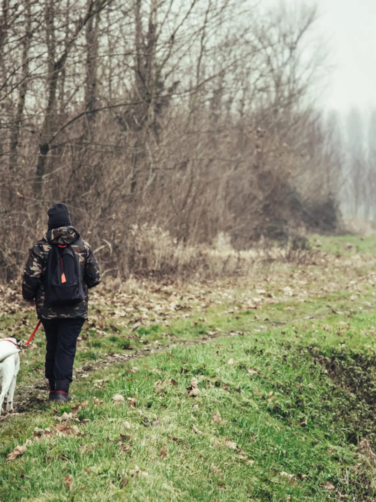 Girl and her dog walking in a rural scene