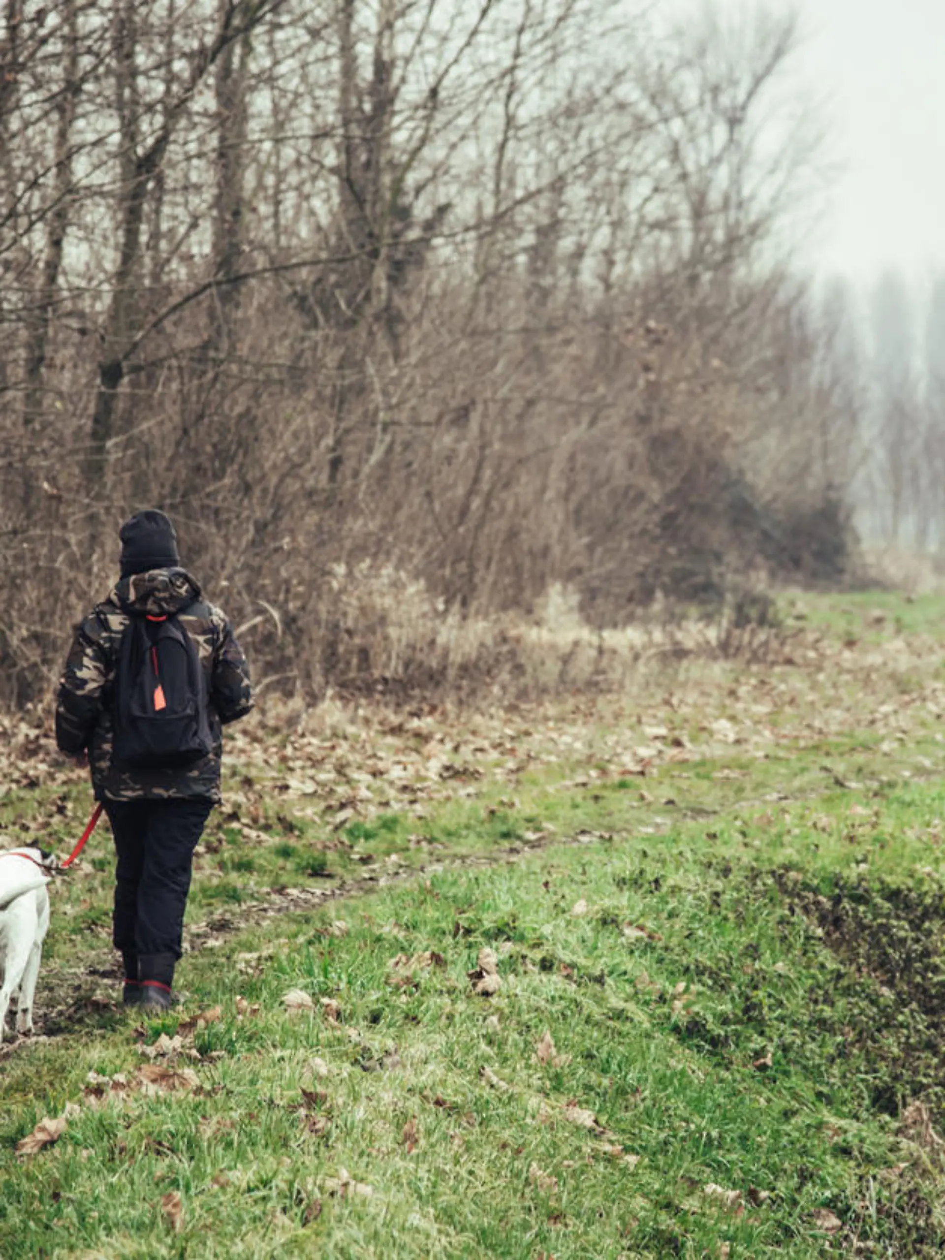 Girl and her dog walking in a rural scene