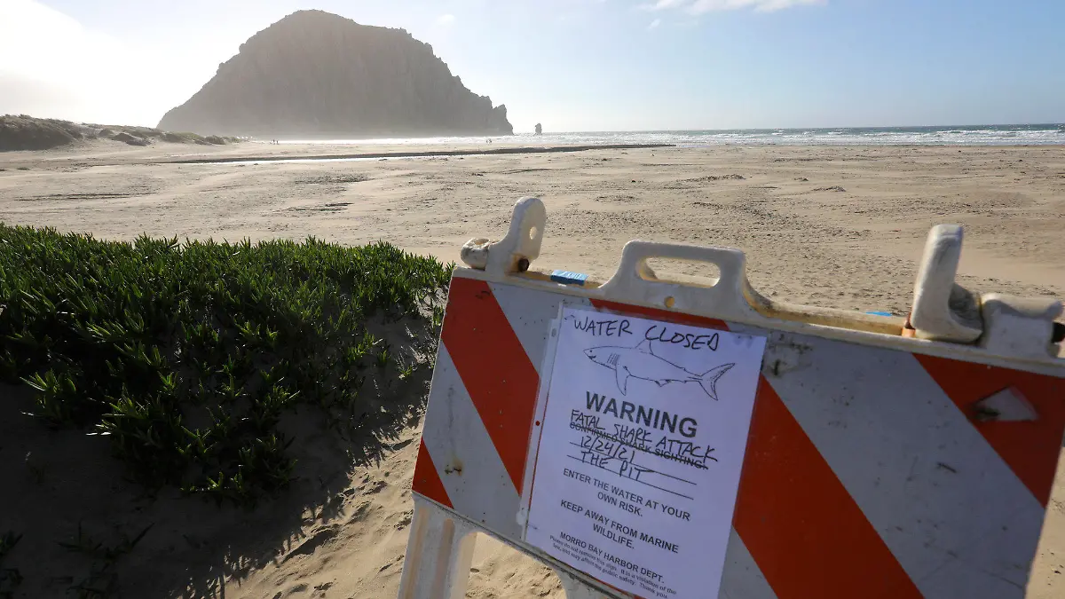 24.12.2021, USA, Morro Bay: Ein Schild auf einem Parkplatz kündigt eine Strandsperrung an in Morro Bay, Kalifornien. Ein Surfer wurde an Heiligabend vor der kalifornischen Küste bei einem Haiangriff getötet, wie die Behörden mitteilten. Foto: David Middlecamp/The Tribune (of San Luis Obispo) via AP/dpa - ACHTUNG: Nur zur redaktionellen Verwendung und nur mit vollständiger Nennung des vorstehenden Credits +++ dpa-Bildfunk +++