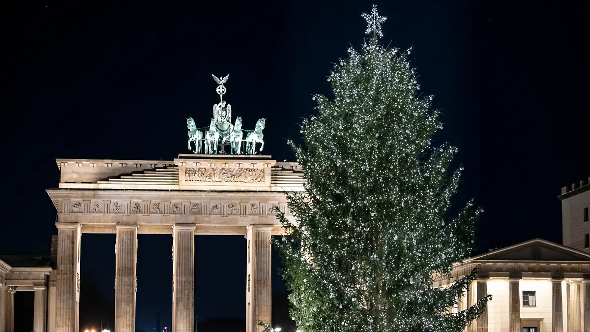 Der Weihnachtsbaum steht am frühen Morgen am Brandenburger Tor.