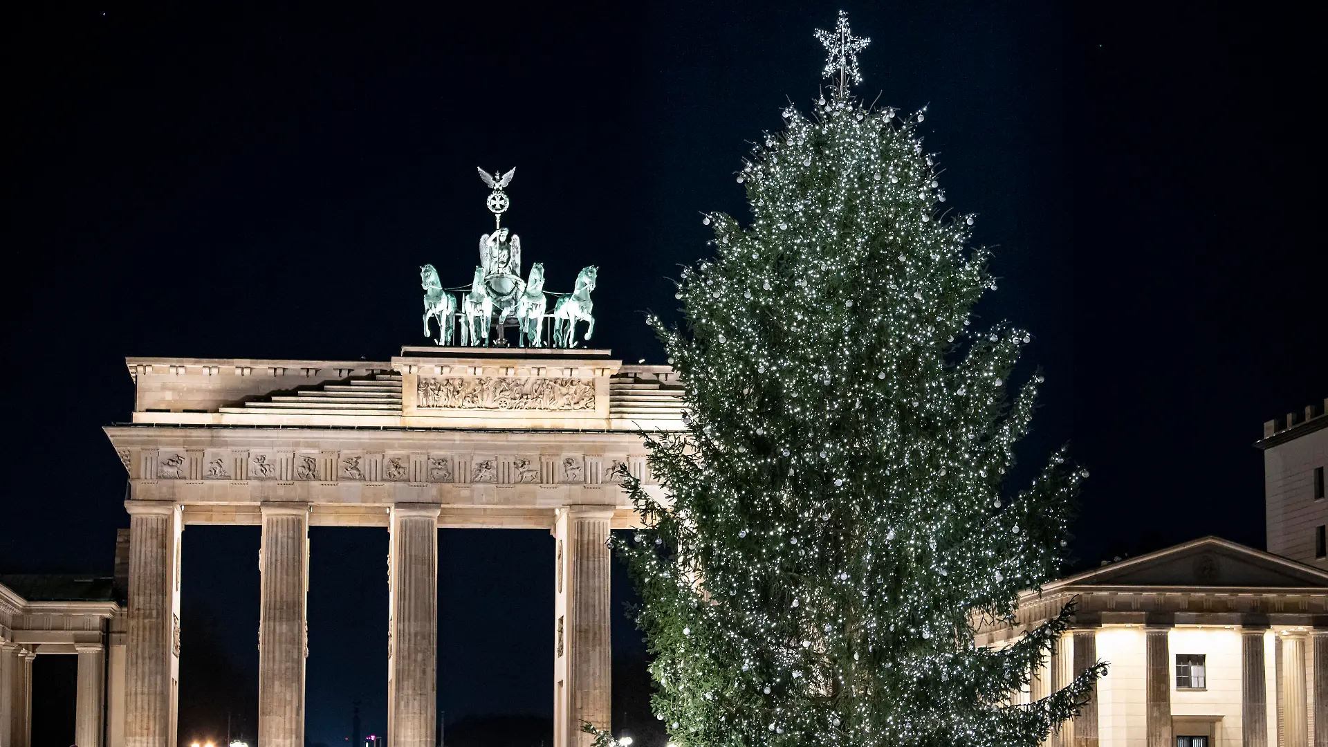 Der Weihnachtsbaum steht am frühen Morgen am Brandenburger Tor.