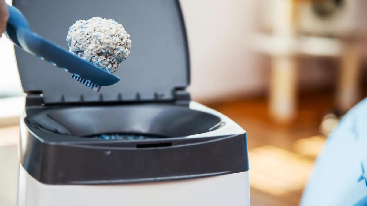 Dirty Cat Sand on Shovel About to be Thrown Into Garbage Bin