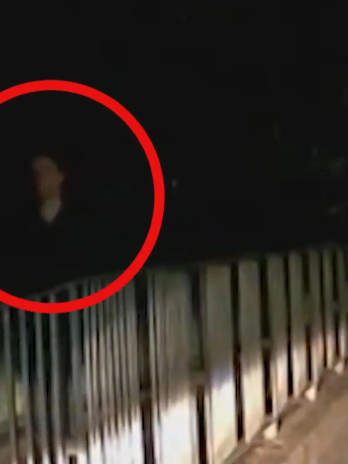 54-mal sticht ein Mann mit zwei Messern auf seine Freundin ein und tötet sie. Das Motiv: Eifersucht. Später versucht er, die Tat zu vertuschen, bricht bei der Polizei in Tränen aus. Doch ein dummer Fehler verrät ihn.