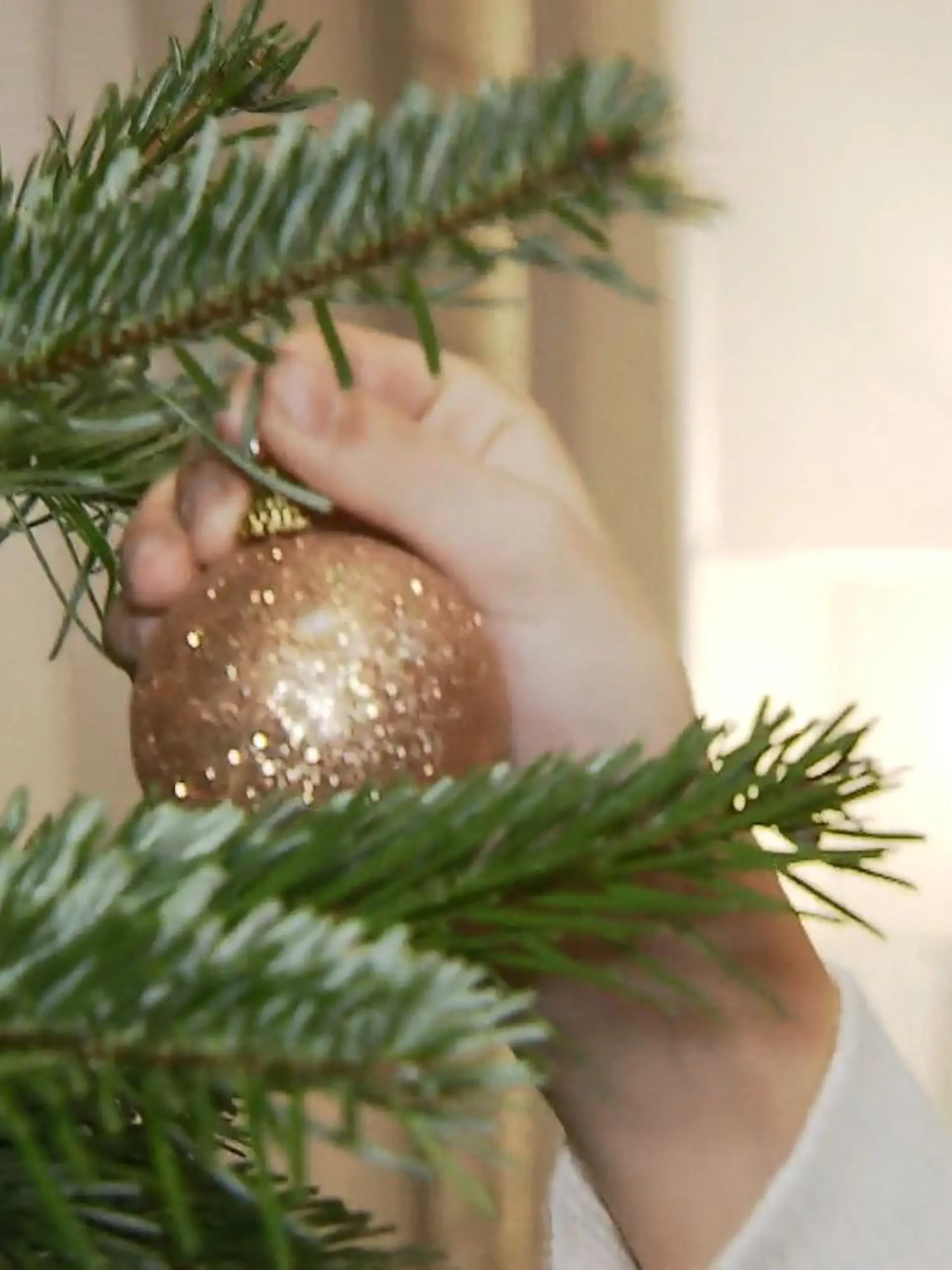 Bild zu: "Neue Regeln nach Weihnachten"