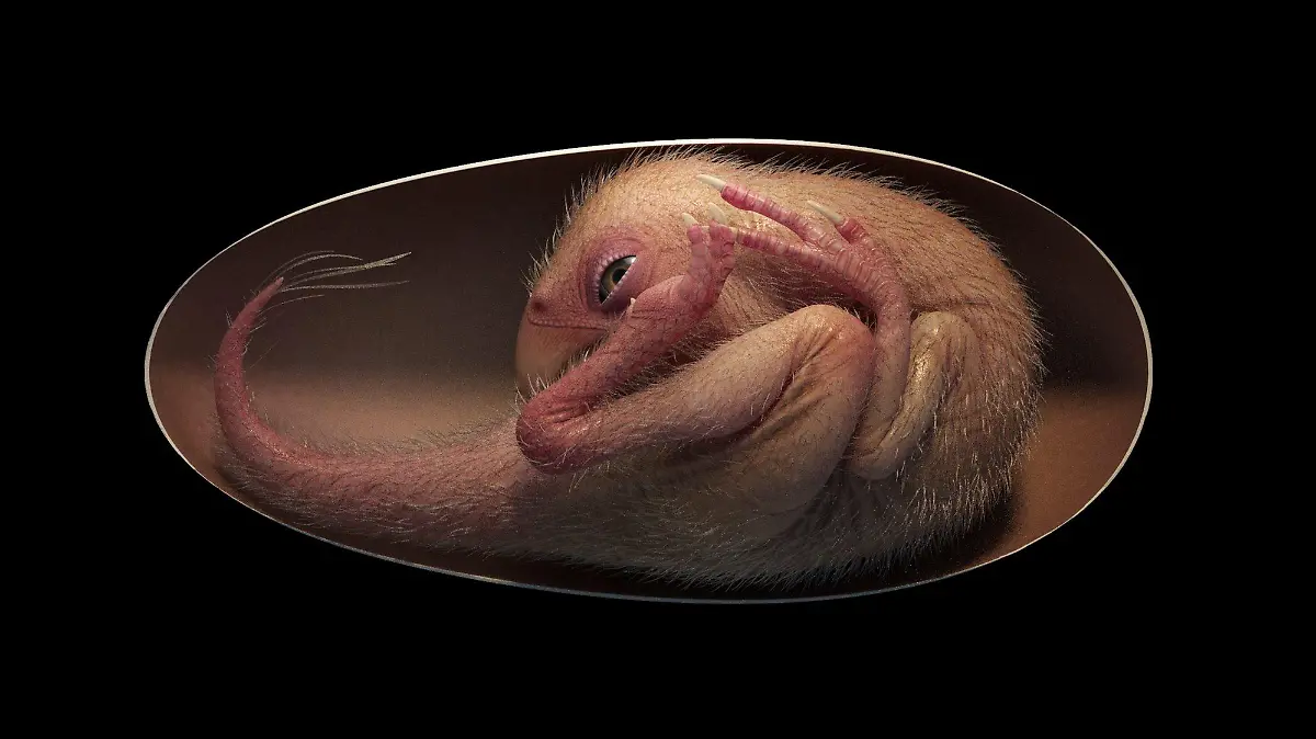 Südchina: Dinosaurier Embryo bringt die Forschung weiter voran.