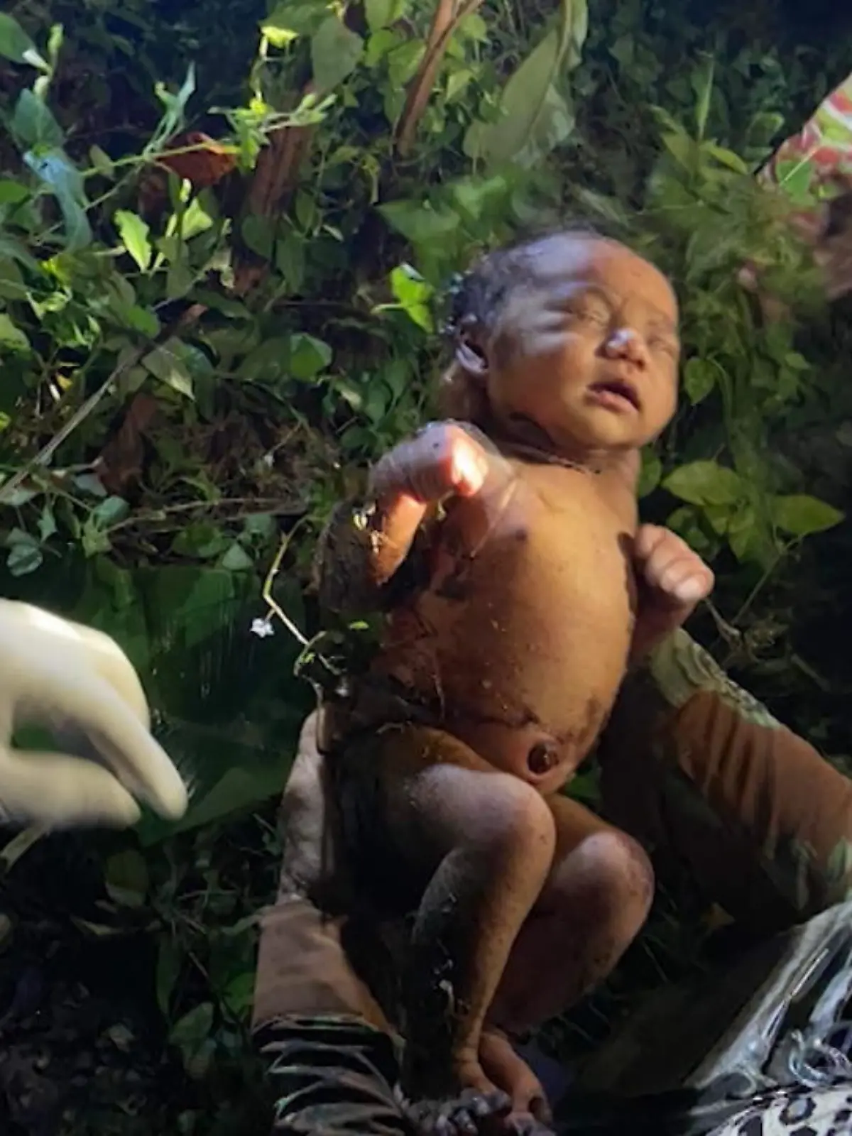 Eigentlich wollten ein paar Männer den Dschungel von Krabi in Thailand von Müll befreien. Sie staunen nicht schlecht, als sie inmitten von Bananenblättern plötzlich ein schreiendes Baby entdecken.