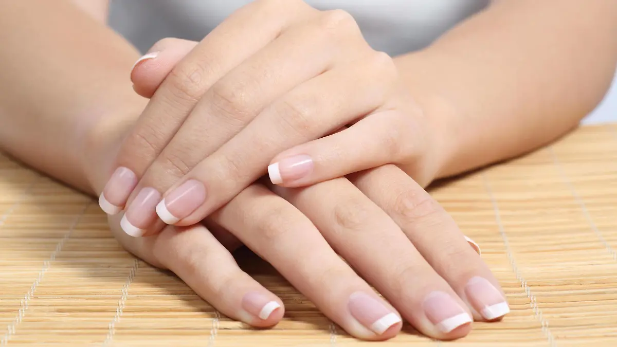 Close up of a beautiful woman hands and nails with perfect french manicure model released Symbolfoto PUBLICATIONxINxGERxSUIxAUTxONLY Copyright: xAntonioGuillemx Panthermedia11711423  
