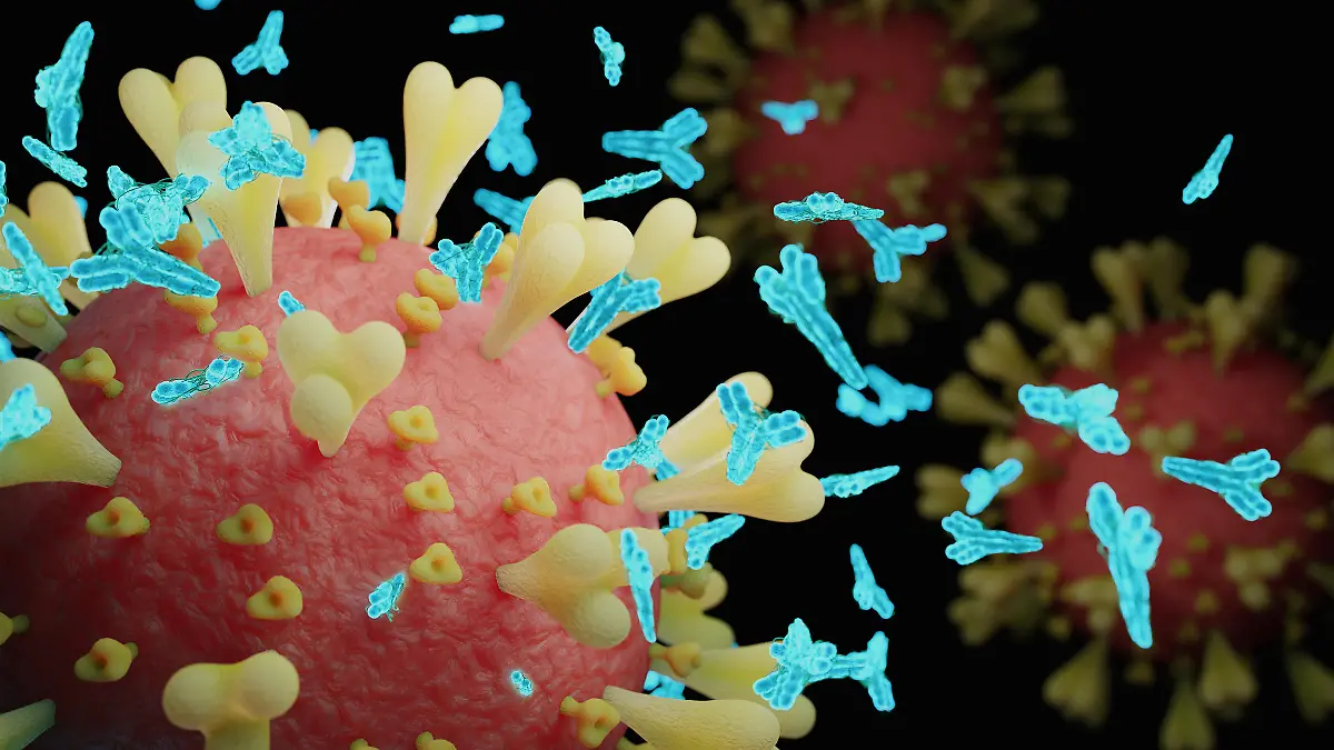 Abs COVID-19 antibody - 3d rendered image structure view on black background.
Viral Infection concept. MERS-CoV, SARS-CoV, ТОРС, 2019-nCoV, Wuhan Coronavirus.
Antibody, Antigen, Vaccine concept.