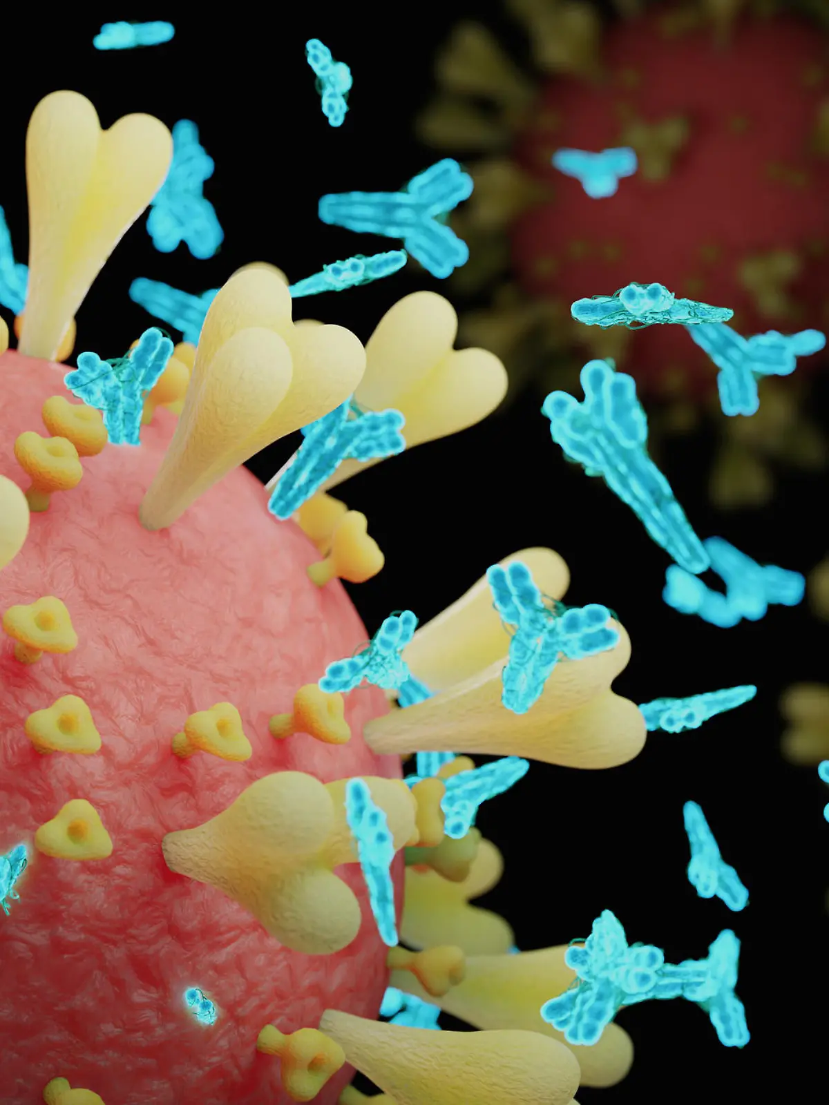 Abs COVID-19 antibody - 3d rendered image structure view on black background. 
Viral Infection concept. MERS-CoV, SARS-CoV, ТОРС, 2019-nCoV, Wuhan Coronavirus.
Antibody, Antigen, Vaccine concept.