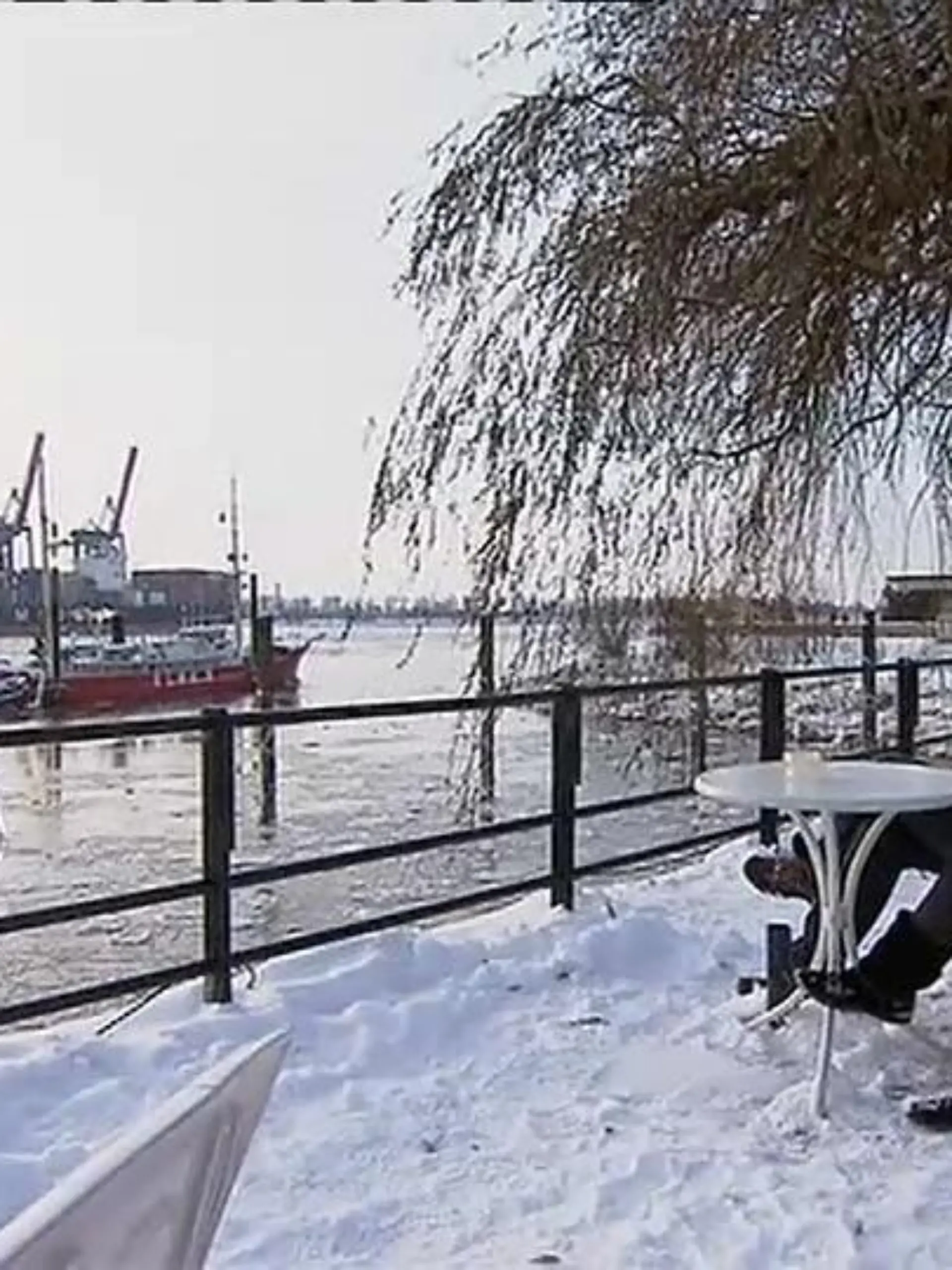 Schnee in Hamburg am 25.12..2010