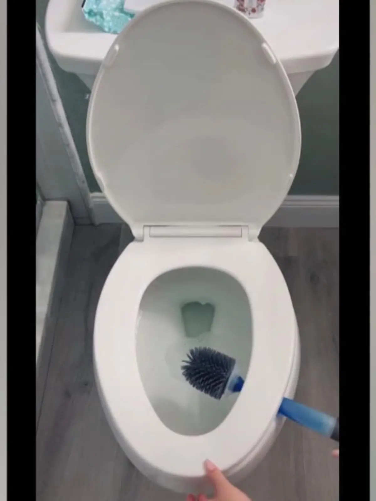 Unsere Toiletten und Bäder reinigen wir regelmäßig, wieso eigentlich nicht die Klobürste? Dabei kann das so einfach sein, wie uns eine Frau auf TikTok zeigt.