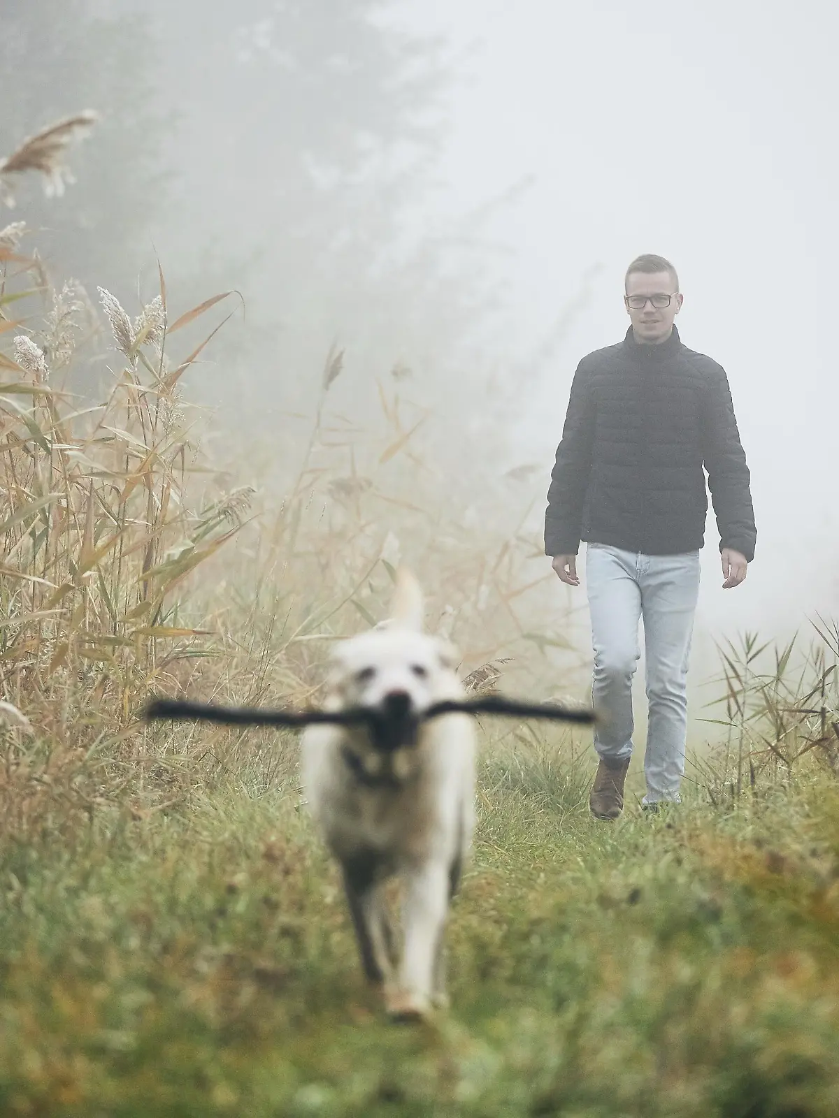 Young man playing with dog (labrador retriever) in autumn foggy morning.
