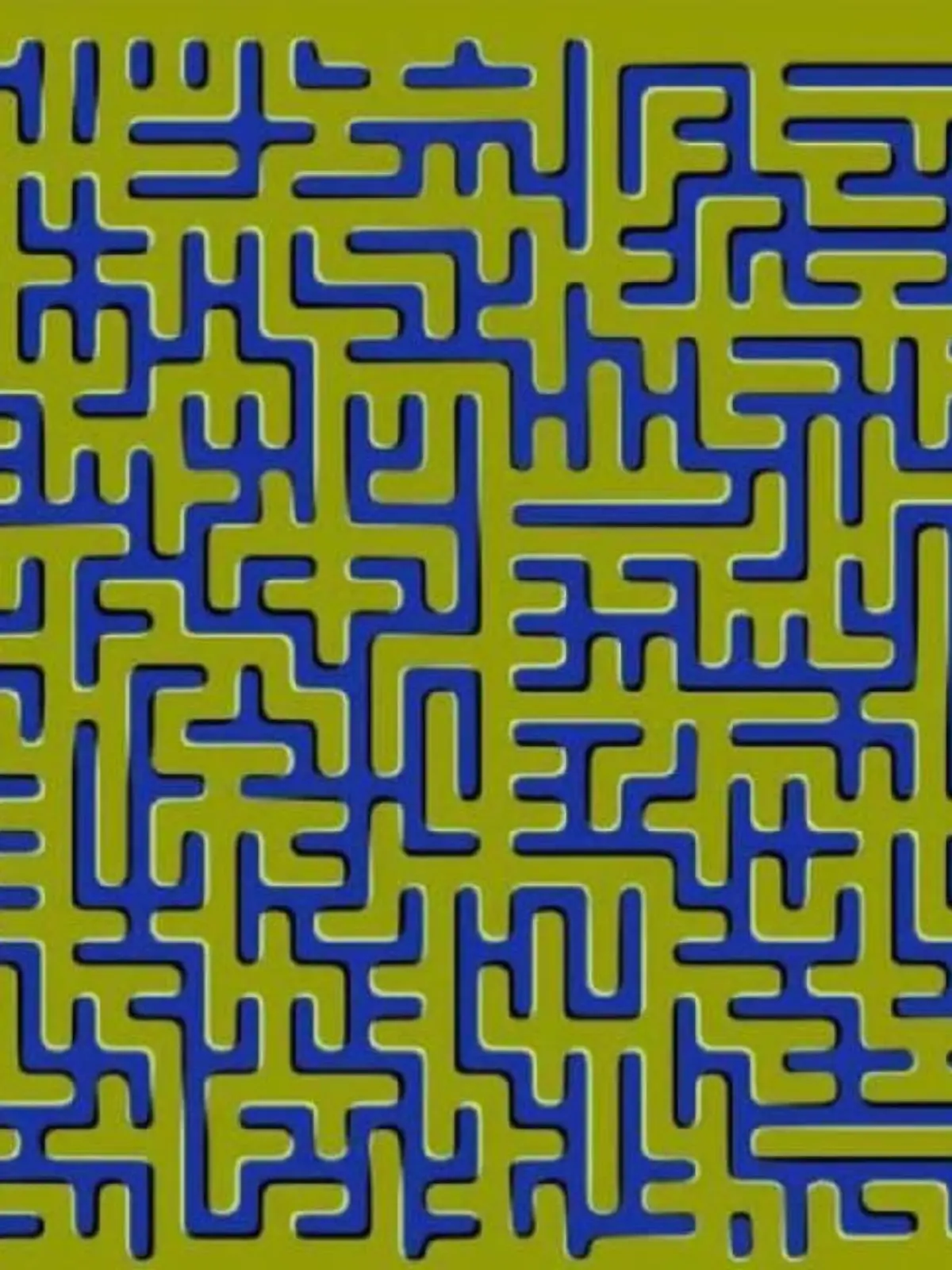 Labyrinth