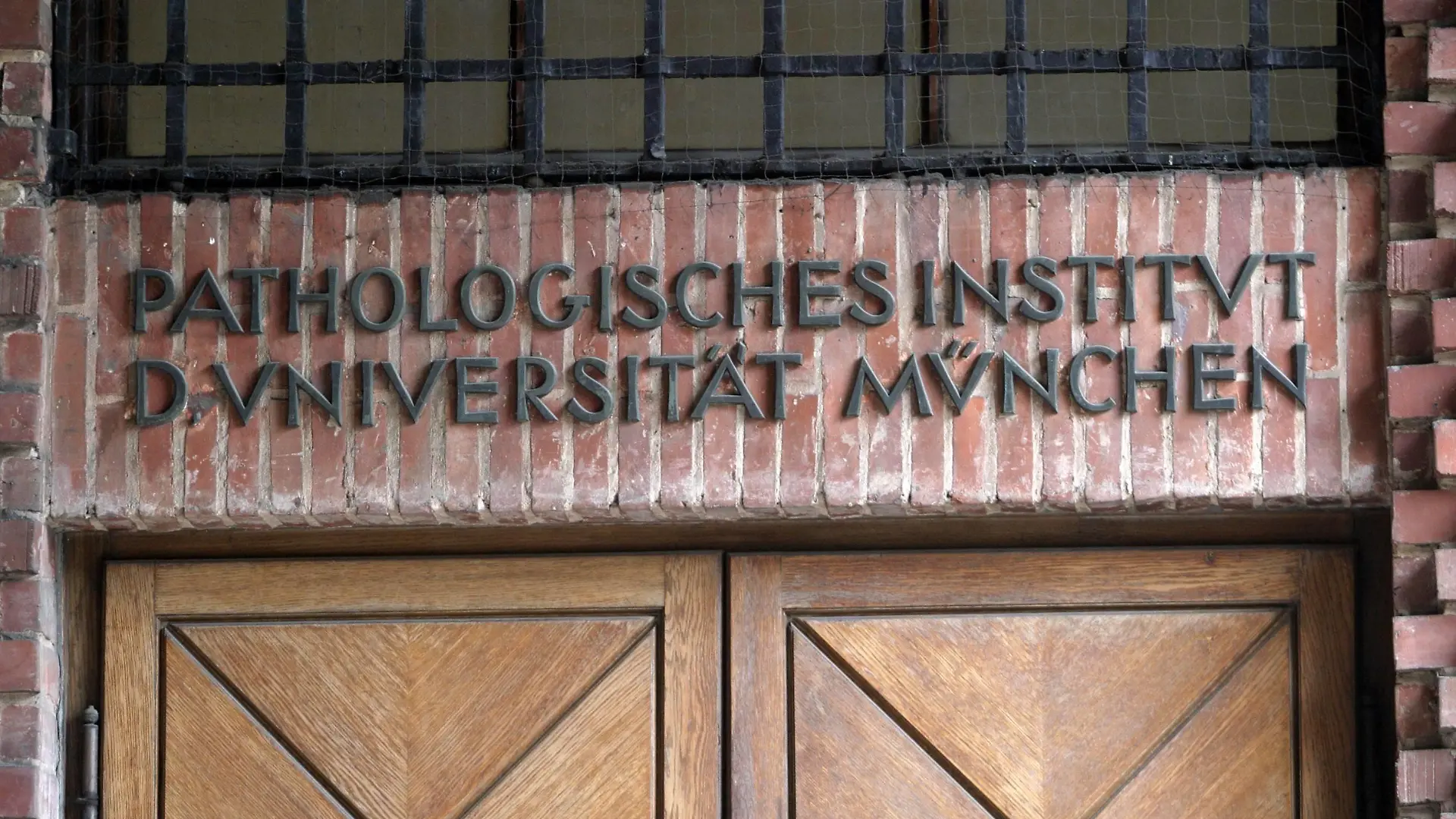 Bildnummer: 50498199 Datum: 22.06.2004 Copyright: imago/Karo
Schriftzug über dem Eingang zum pathologischen Institut der Ludwig-Maximilians-Universität in München , Objekte; 2004, München, Eingänge, pathologisches, Pathologie, Institute, Gerichtsmedizin, LMU; , quer, Kbdig, Einzelbild, Deutschland, , Medizin, Wissenschaft, Universität, Bildung,