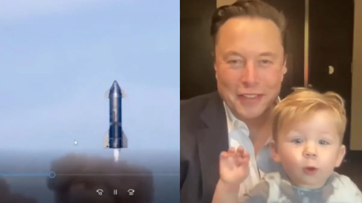 Elons Mini-Musk als Videochat-Star Süßer Gastauftritt