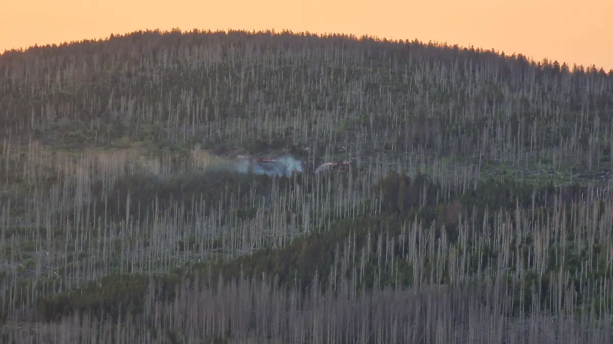 04.06.2023, Niedersachsen, Schierke: In der Gegend am Brocken ist am Sonntagabend ein Brand ausgebrochen und Rauch steigt auf. Die Brockenbahn ist am Brandort zu sehen. Am Königsberg in Schierke im Harz ist am Sonntag ein Feuer ausgebrochen - etwa 100 Personen mussten deshalb vom höchsten norddeutschen Berg, dem Brocken, geholt werden. (Zu dpa «Brand im Harz - Urlauber werden vom Brocken evakuiert») Foto: Cevin Dettlaff/dpa-Zentralbild/dpa +++ dpa-Bildfunk +++