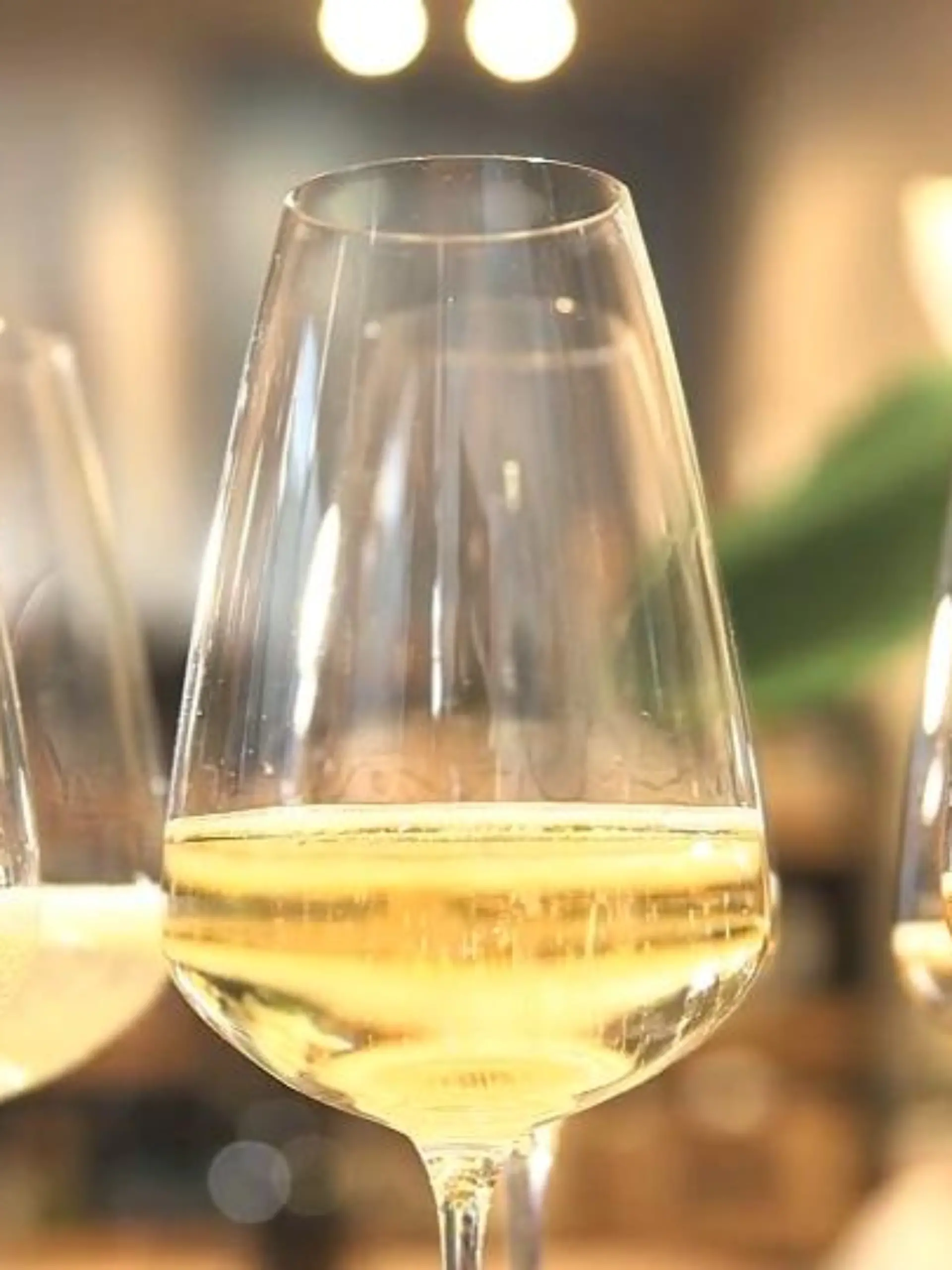 Bild zu: "Muss Champagner wirklich teuer sein?"