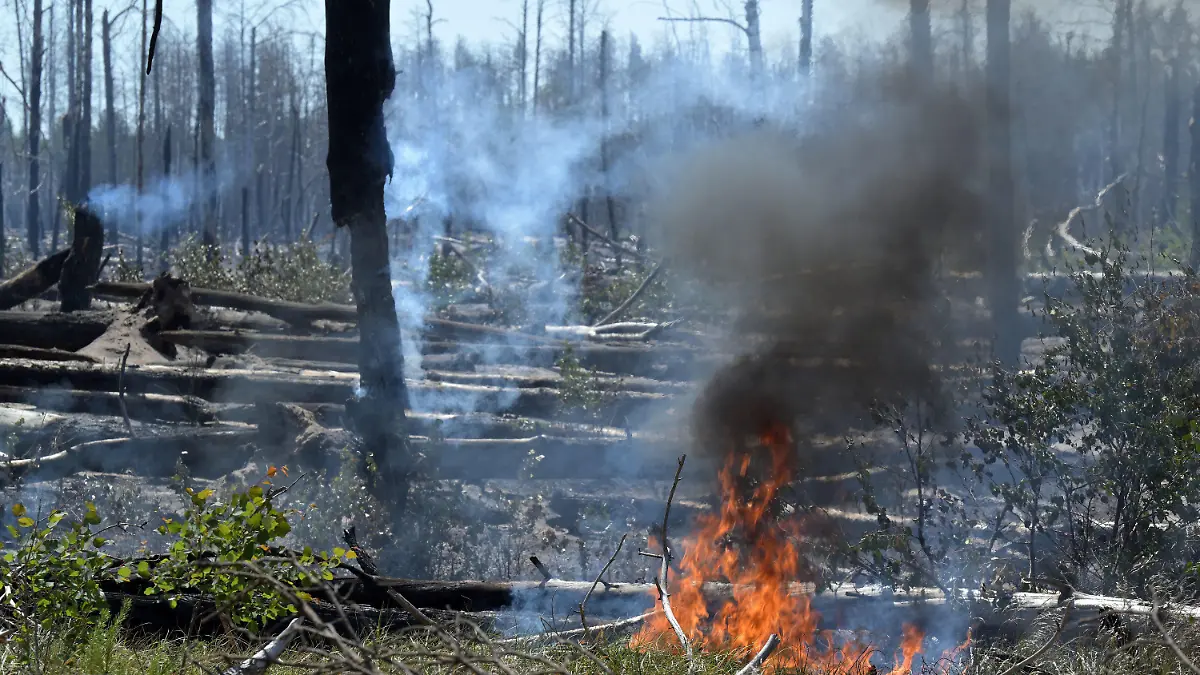 04.06.2023, Brandenburg, Jüterbog: Brennender Wald bei Jüterbog. Der Waldbrand in dem ehemaligen Truppenübungsgebiet dort ist immer noch nicht gelöscht. Foto: Michael Bahlo/dpa +++ dpa-Bildfunk +++