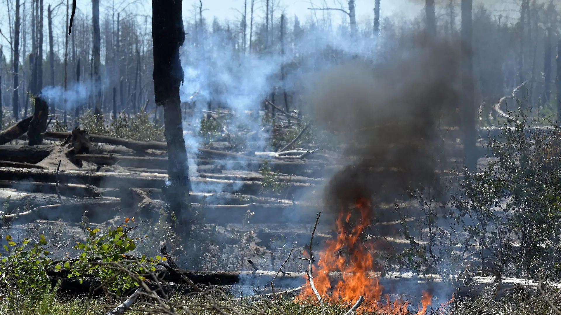 04.06.2023, Brandenburg, Jüterbog: Brennender Wald bei Jüterbog. Der Waldbrand in dem ehemaligen Truppenübungsgebiet dort ist immer noch nicht gelöscht. Foto: Michael Bahlo/dpa +++ dpa-Bildfunk +++