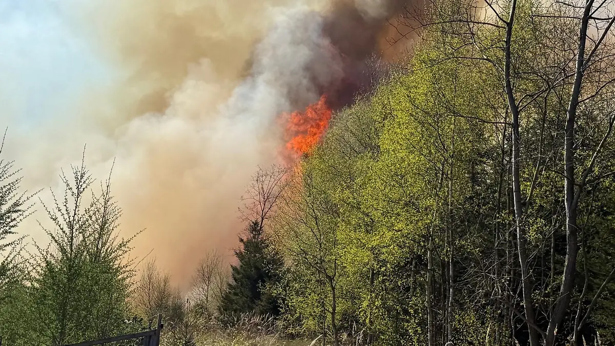Hunderte Einsatzkräfte waren bei Waldbränden in Nordrhein-Westfalen im Einsatz, zum Beispiel bei diesem Brand in Sundern im Sauerland. (Foto: Feuerwehr Sundern)