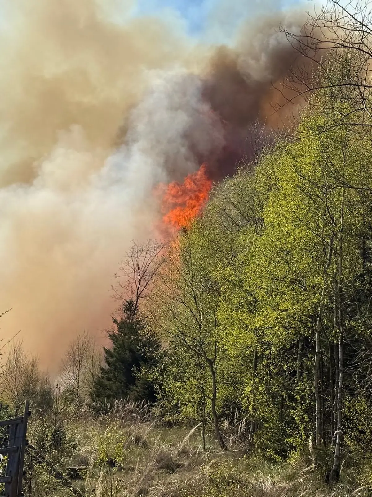 Bild zu: "Waldbrand-Serie in Viersen! Polizei nimmt junge Feuerwehrleute fest"