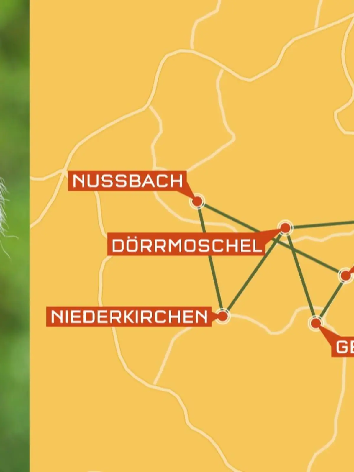 Äffchen Udo lebt eigentlich im Tierpark Donnersberg in der Nordpfalz. Dort ist es ihm aber scheinbar ein bisschen zu langweilig geworden. Die logische Konsequenz: ausbüchsen! Zwei Monate lang ist das Tier unterwegs