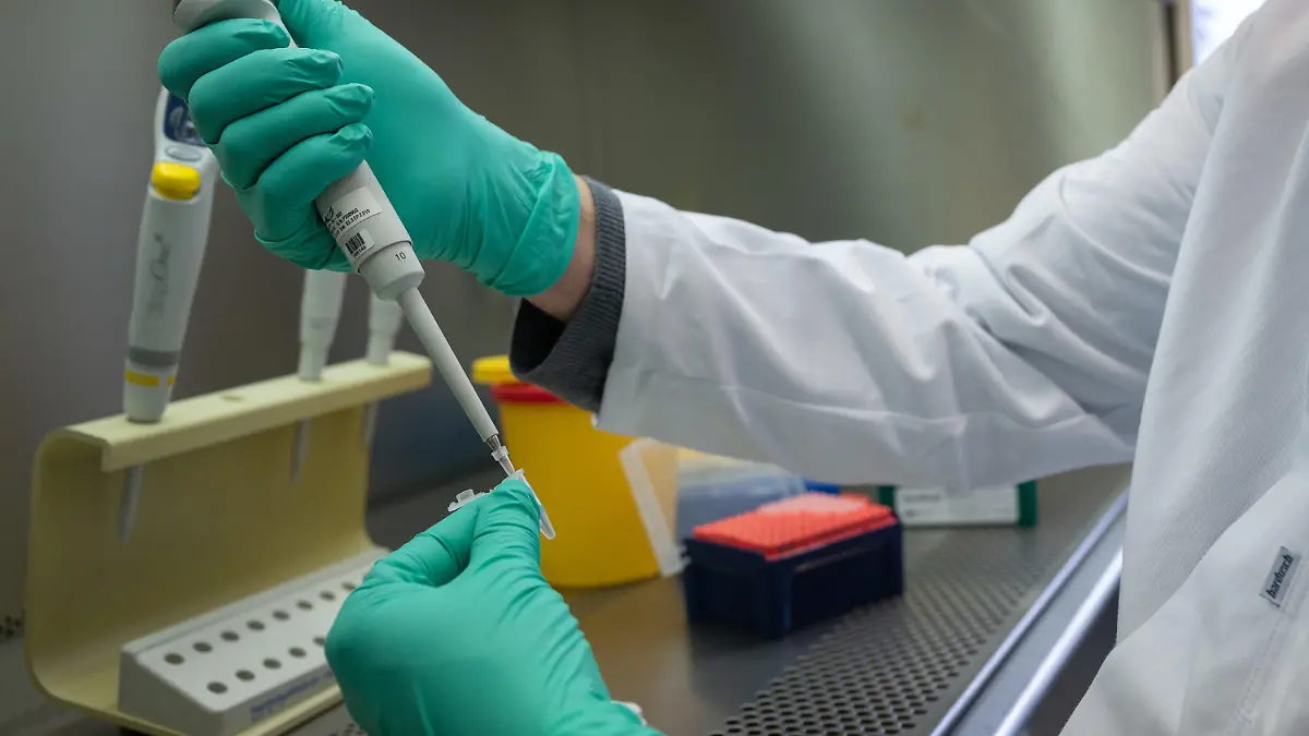 ARCHIV - 03.02.2021, Baden-Württemberg, Stuttgart: Ein Forscher zeigt, wie ein PCR-Test für die Analyse auf Mutationen des Coronavirus vorbereitet wird. (zu dpa «Ergebnisse zu weiteren Omikron-Verdachtsfällen erwartet») Foto: Sebastian Gollnow/dpa +++ dpa-Bildfunk +++