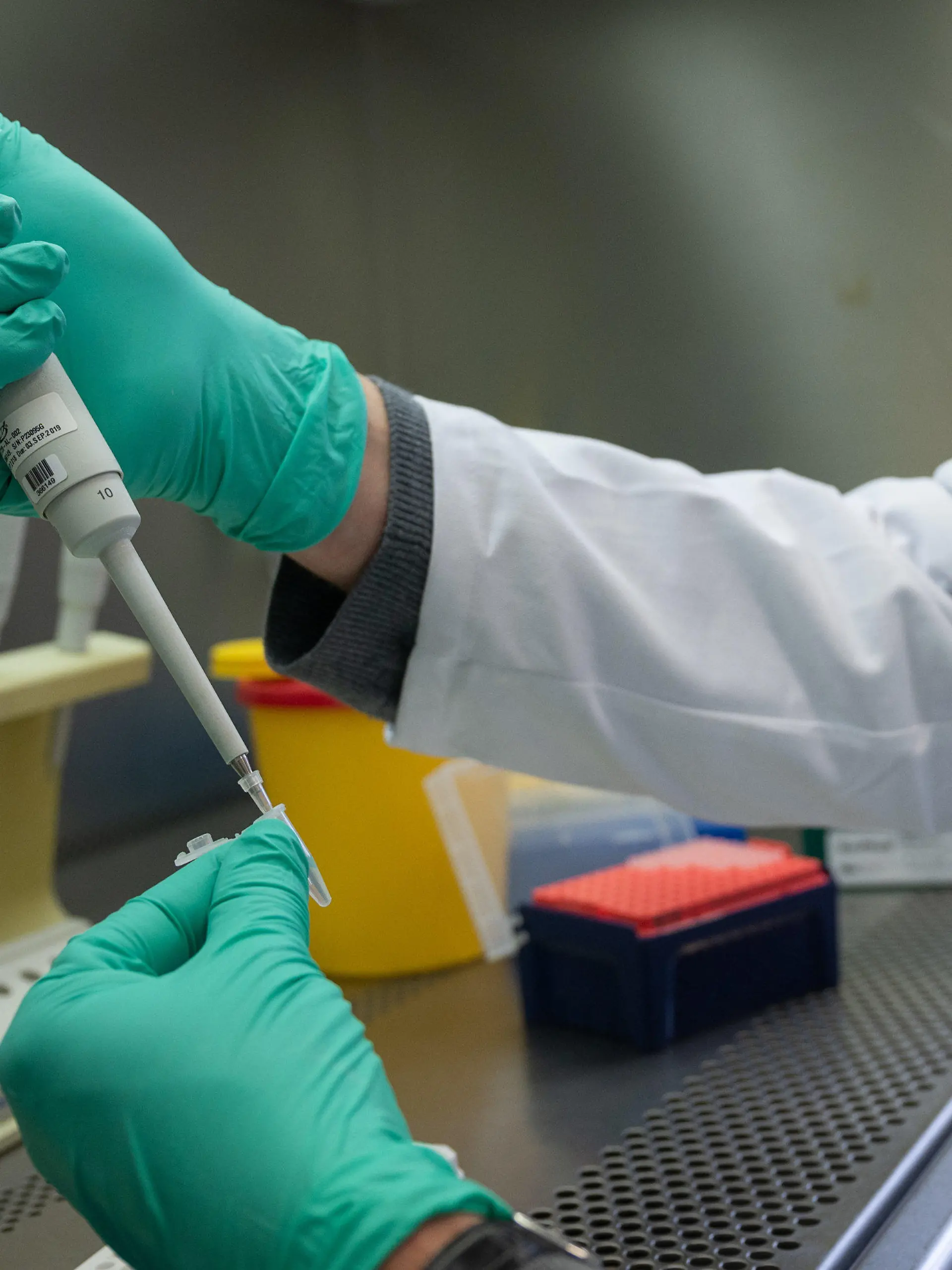 ARCHIV - 03.02.2021, Baden-Württemberg, Stuttgart: Ein Forscher zeigt, wie ein PCR-Test für die Analyse auf Mutationen des Coronavirus vorbereitet wird.       (zu dpa «Ergebnisse zu weiteren Omikron-Verdachtsfällen erwartet») Foto: Sebastian Gollnow/dpa +++ dpa-Bildfunk +++