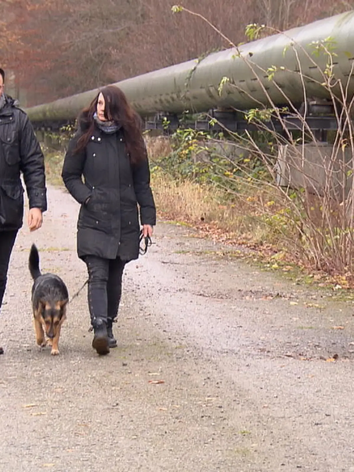 Bild zu: "Hund wird von Jäger erschossen"