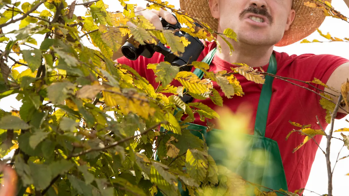 Wütender Nachbar schimpft über die Gartenhecke - angry neighbour Keine Weitergabe an Drittverwerter.