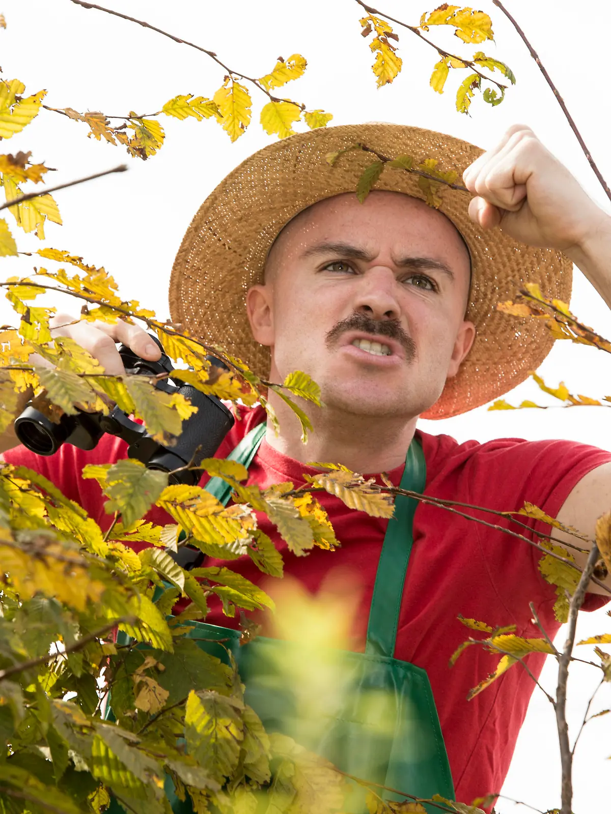 Wütender Nachbar schimpft über die Gartenhecke - angry neighbour Keine Weitergabe an Drittverwerter.
