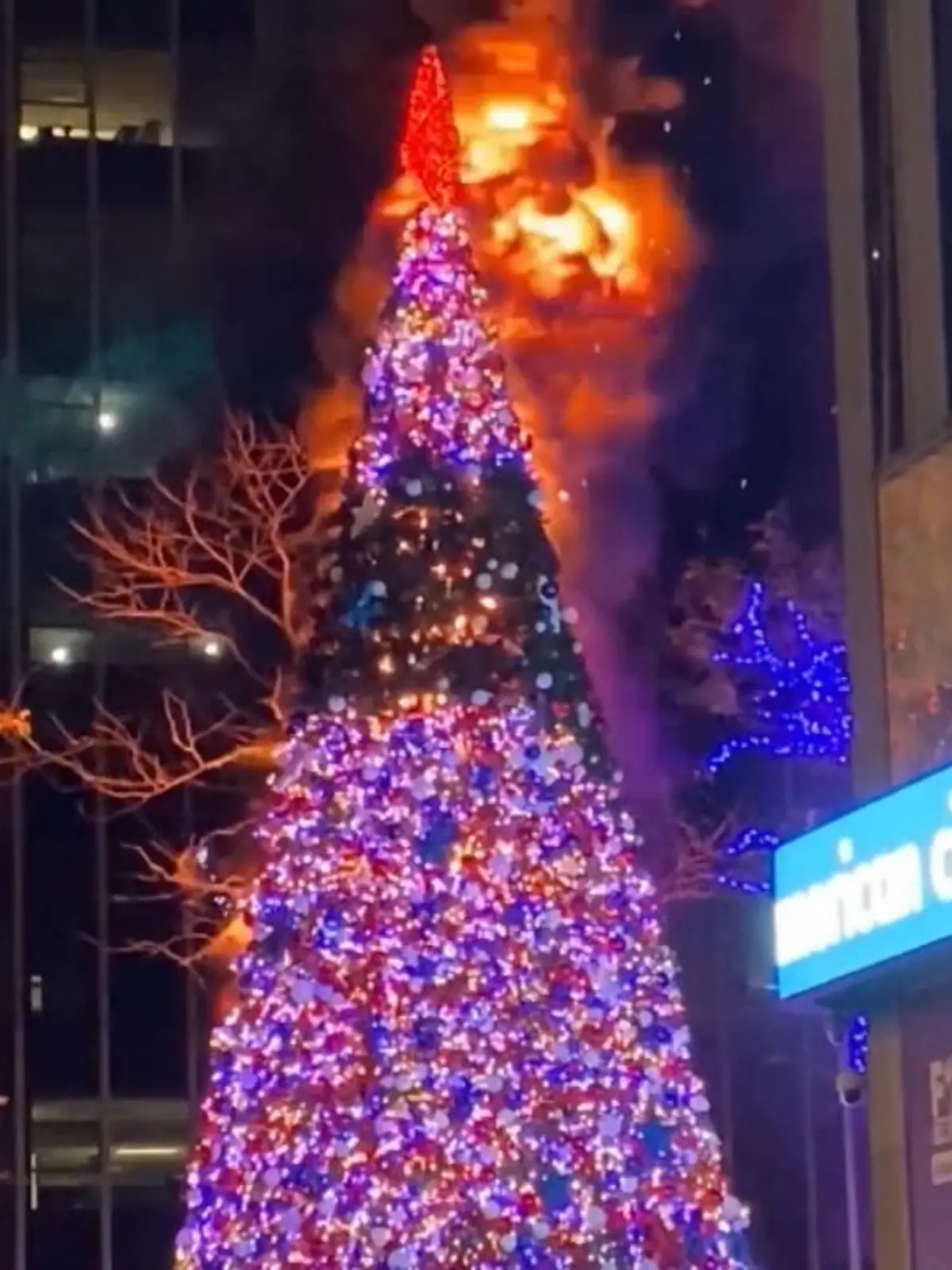 Bild zu: "New Yorker Weihnachtsbaum abgebrannt"