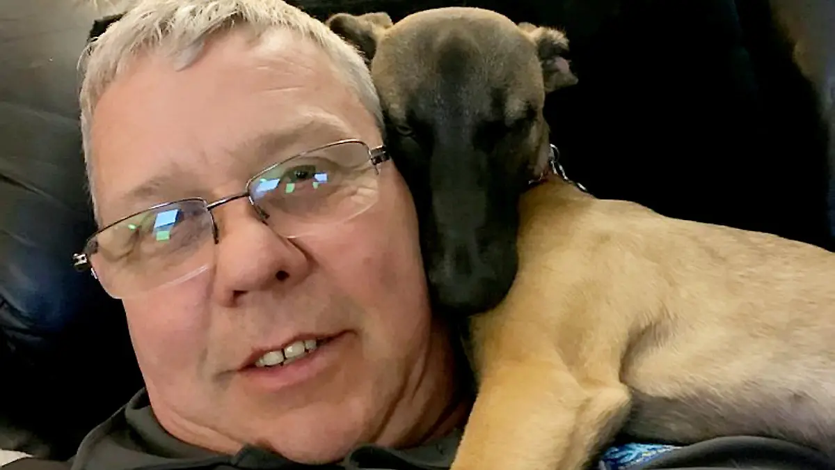 SONDERKONDITIONEN: Satzpreis!
Ein neues Heim zur Weihnachtszeit: Steve Hofford aus Basingstoke hat den dreibeinigen Whippet Roo aufgenommen  --   A three-legged puppy given up by her previous owners because of her disability has been found a new home just in time for Christmas.  See SWNS story SWMDdog.  Roo the whippet was born with one front leg and was taken into the care of an animal charity when her owners didn?t have time to care for her.  She was placed into foster care at the Blue Cross aged two months old so she could adapt to a home environment.  Roo was put up for adoption and has now found a forever home with Amanda and Steve Hofford, from Basingstoke, Hamps.  Having lost their beloved basset hound Mabel just after last Christmas, the couple say Roo has helped them fill the void in their lives.  / action press