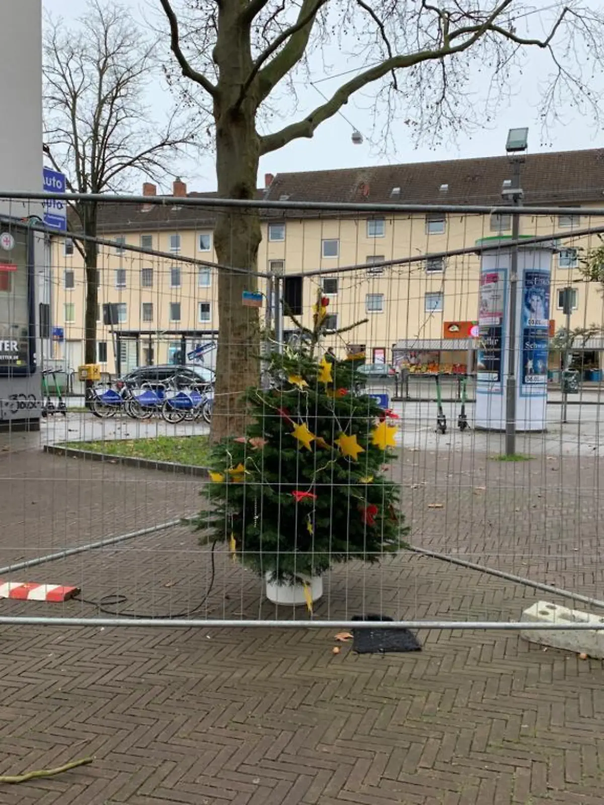 Deutschlands einsamster Weihnachtsbaum: Auf dem Wesertorplatz in Kassel geht Sicherheit vor.