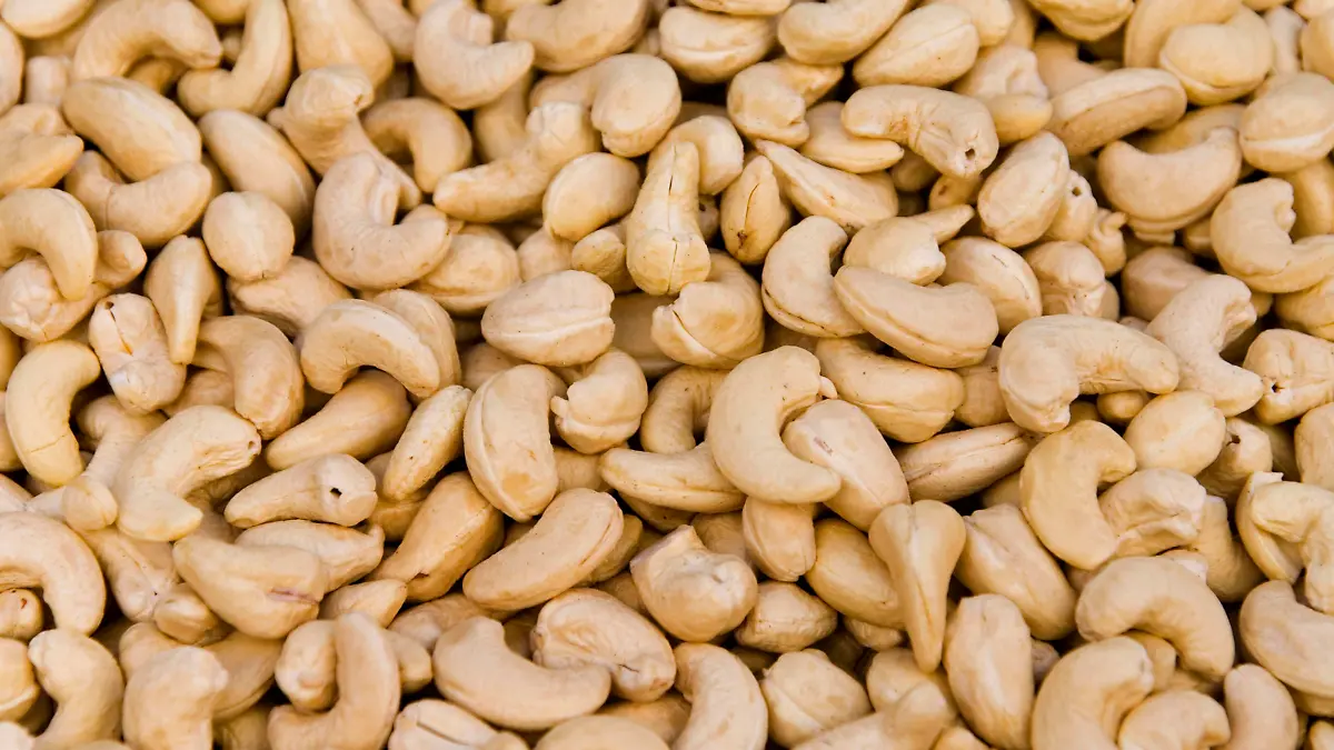 Kaschunuss, Acajubaum, Nierenbaum, Kaschubaum, Cashew, Cashewnuss, Cashew-Nuss (Anacardium occidentale), viele Cashewnuesse | cashew nut (Anacardium occidentale), several cashew nuts
