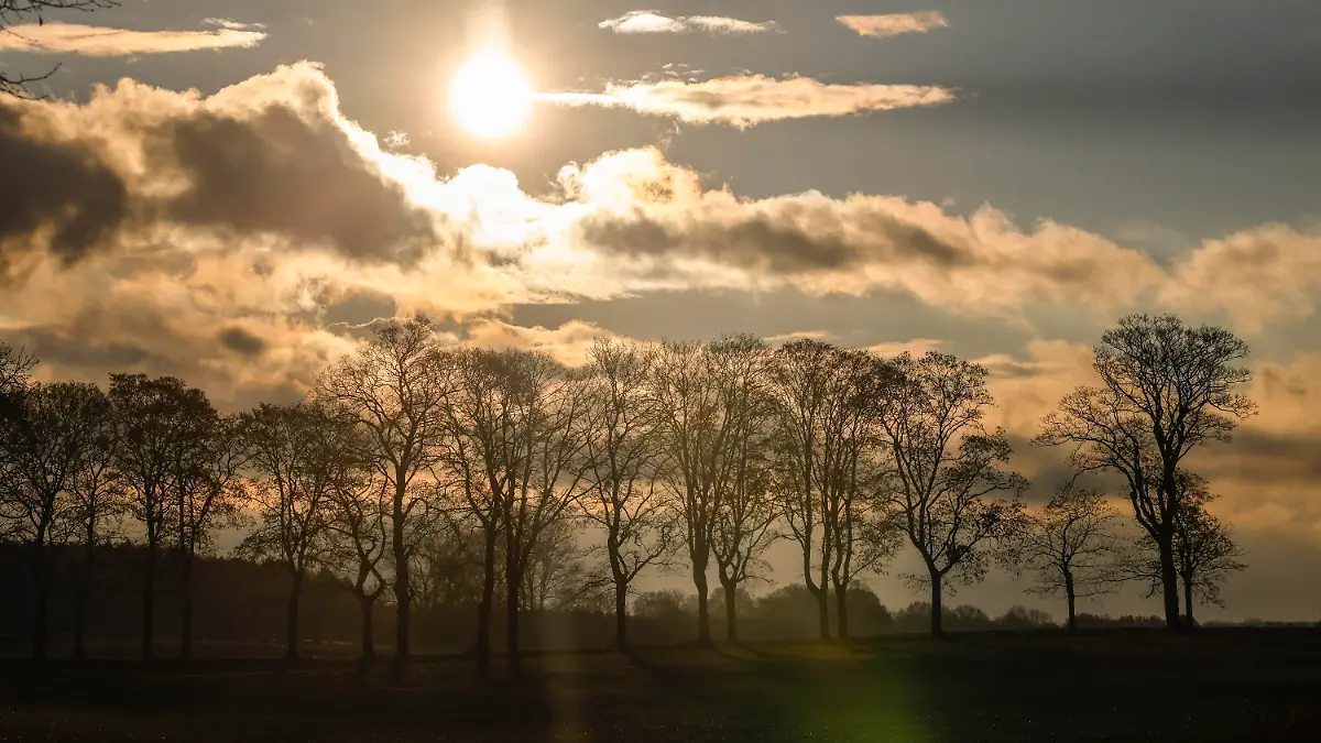 29.11.2021, Schleswig-Holstein, Ehlerstorf: Die Sonne scheint auf ein Feld im Kreis Ost-Holstein. Foto: Frank Molter/dpa +++ dpa-Bildfunk +++