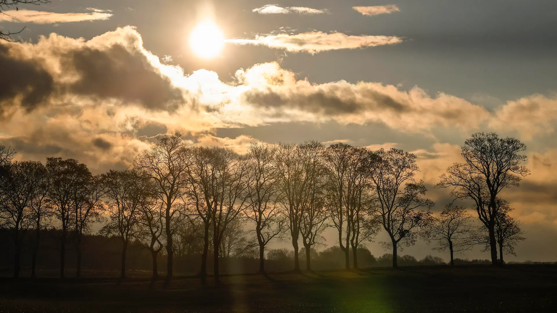 29.11.2021, Schleswig-Holstein, Ehlerstorf: Die Sonne scheint auf ein Feld im Kreis Ost-Holstein. Foto: Frank Molter/dpa +++ dpa-Bildfunk +++