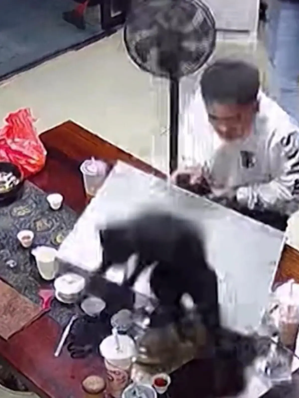 Bei der Mäusejgd durchbricht eine Katze die Decke und landet mitten auf dem Tisch, an dem Angestellte einer chinesischen Autovermietung gerade Mittagspause machen