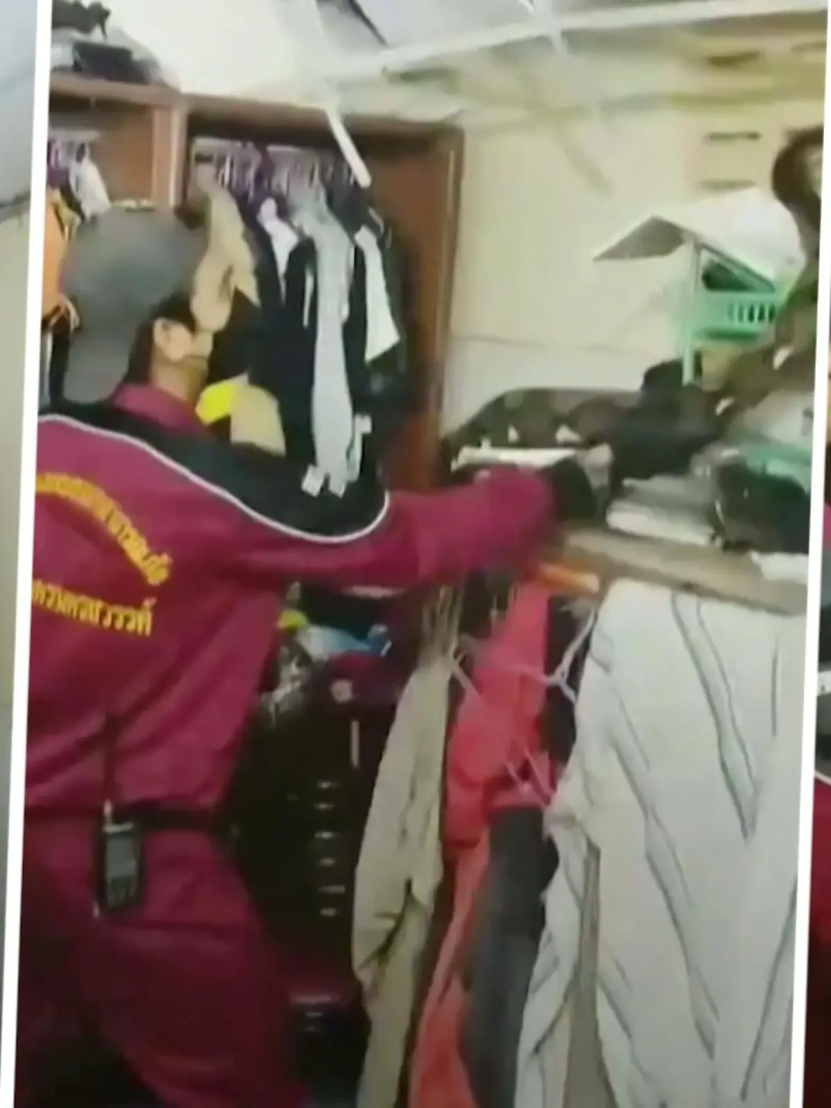 Vorsichtig versucht dieser Schlangenfänger eine riesige Python aus der Decke zu ziehen. Zuvor hatte das Tier die Hauskatze gefressen – und sich dort versteckt.