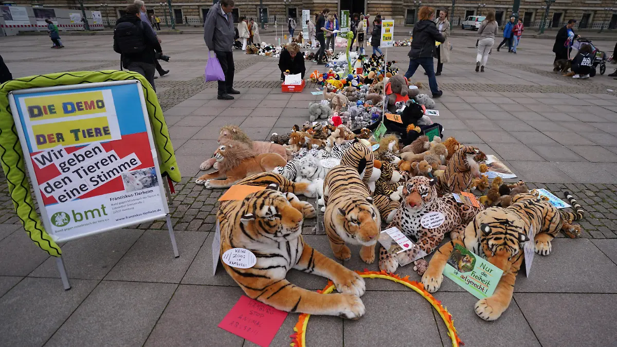 Stofftiere liegen auf dem Rathausmarkt während einer Mahnwache des Bundes gegen Missbrauch der Tiere (bmt). Am 4. Oktober ist der internationale Welttierschutztag.