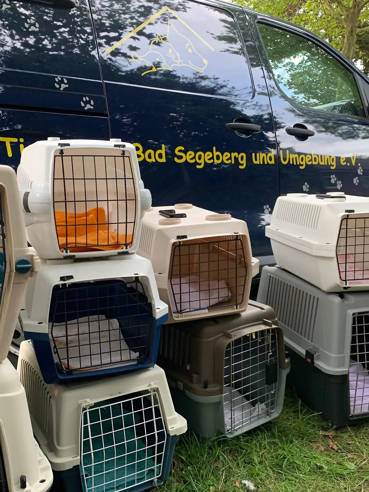 Messie - Tiersammel-Sucht - Katzen - Tierhortung - Animal Hoarding - Faekalien, Muell vom Erdgeschoss bis in den Keller und ein bestialischer Gestank nach Ammoniak zwei Frauen hielten ueber 100 Katzen in ihrem Haus in Grosshansdorf - Amtsveterinaere - Amtsarzt - Tierarzt und Tierheim Einsatz der Feuerwehr in Schutzanzug und Atemschutz am 14.08.2019