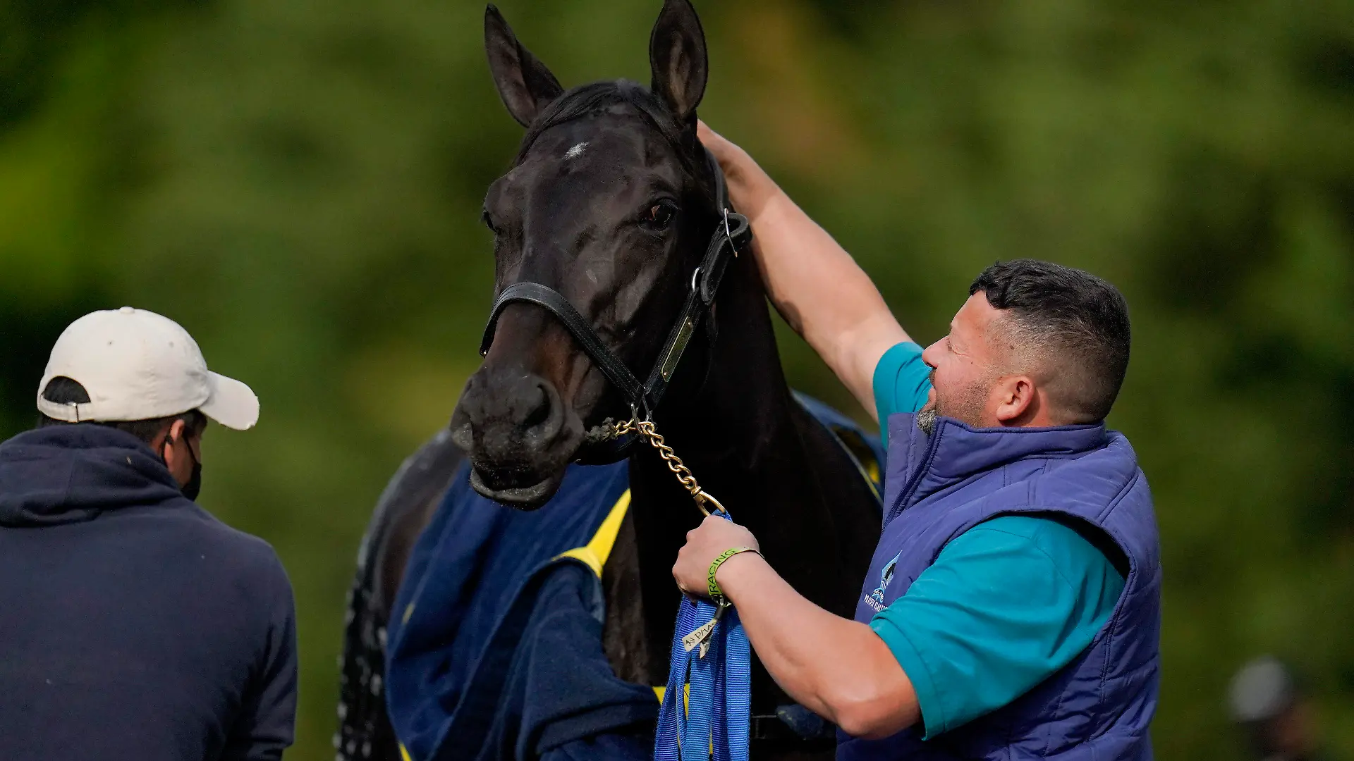 FILE - Kentucky Derby winner and Preakness entrant Medina Spirit is bathed after a workout ahead of the Preakness Stakes horse race at Pimlico Race Course, Wednesday, May 12, 2021, in Baltimore. Kentucky Derby winner Medina Spirit collapsed and died after a workout Monday at Santa Anita. The 3-year-old colt trained by Bob Baffert had just completed five furlongs in his second workout since finishing second in the Breeders’ Cup Classic a month ago at Del Mar, according to Craig Robertson, Baffert’s attorney. (AP Photo/Julio Cortez, File)