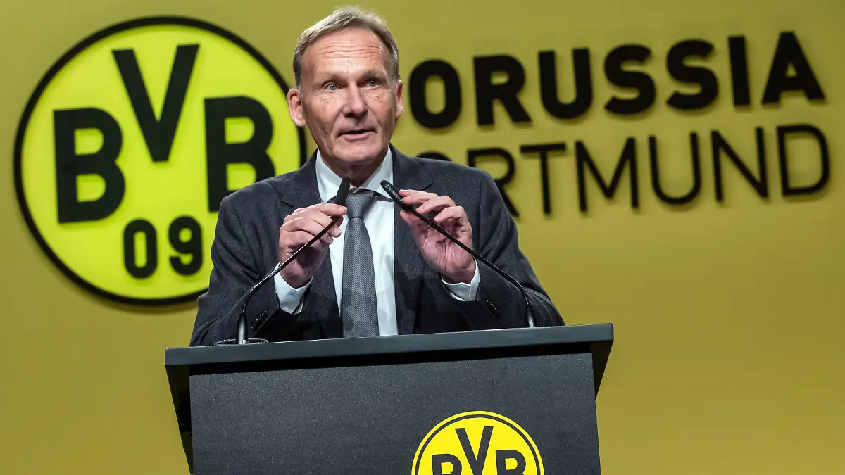 Hans-Joachim Watzke, Geschäftsführer des Fußball-Bundesligisten Borussia Dortmund, spricht bei der Mitgliederversammlung seines Vereins.