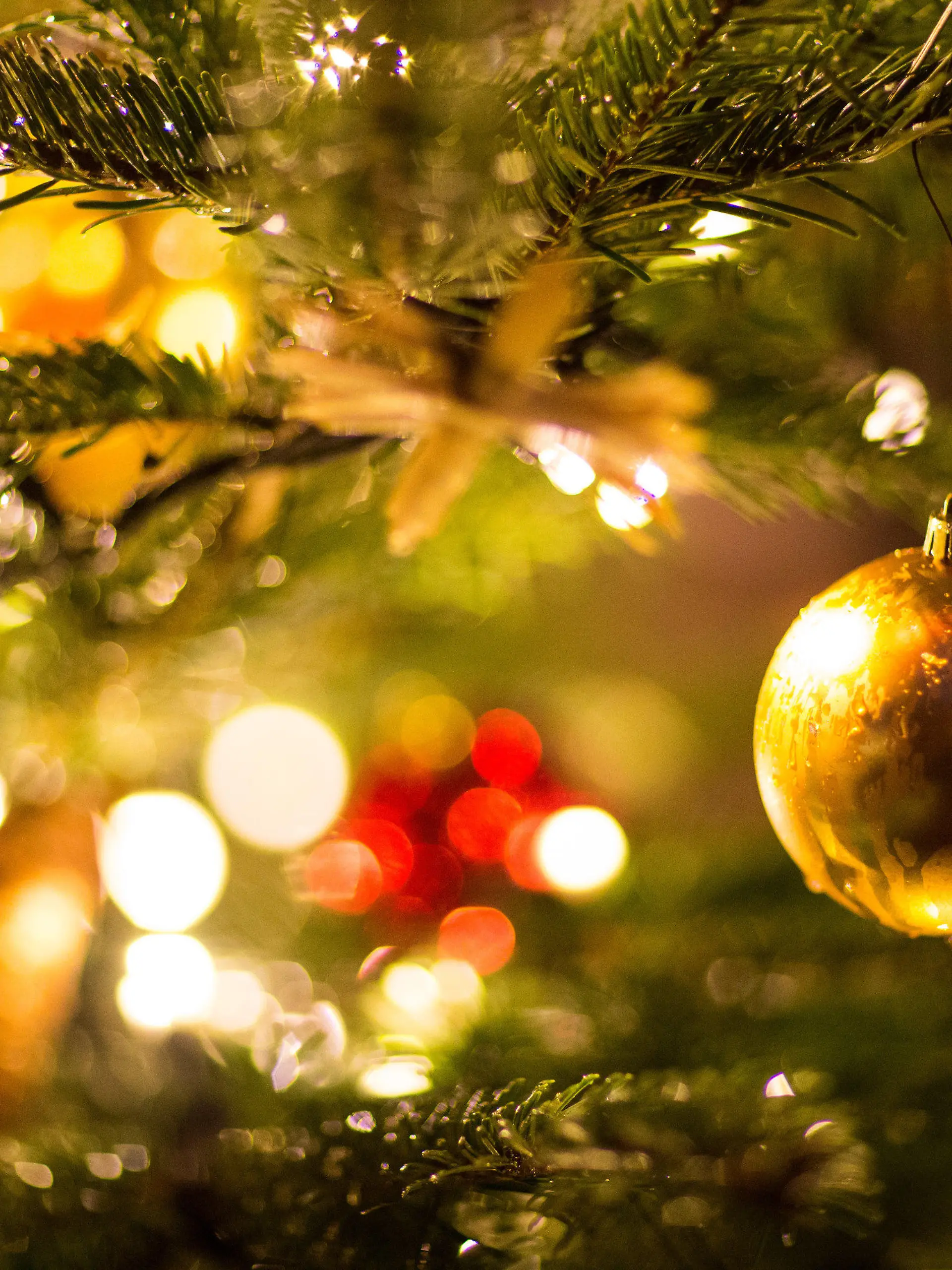 ARCHIV - 09.12.2017, Nordrhein-Westfalen, Bielefeld: Eine goldene Kugel hängt an einem Weihnachtsbaum auf dem Weihnachtsmarkt. Ob Neu-Berliner, Alleinerziehend oder Single - viele Berliner feiern Heiligabend nicht klassisch unterm Weihnachtsbaum im Kreise einer großen Familie. (zu "Mehr oder weniger besinnlich: Weihnachtstipps für Berliner") Foto: Friso Gentsch/dpa +++ dpa-Bildfunk +++