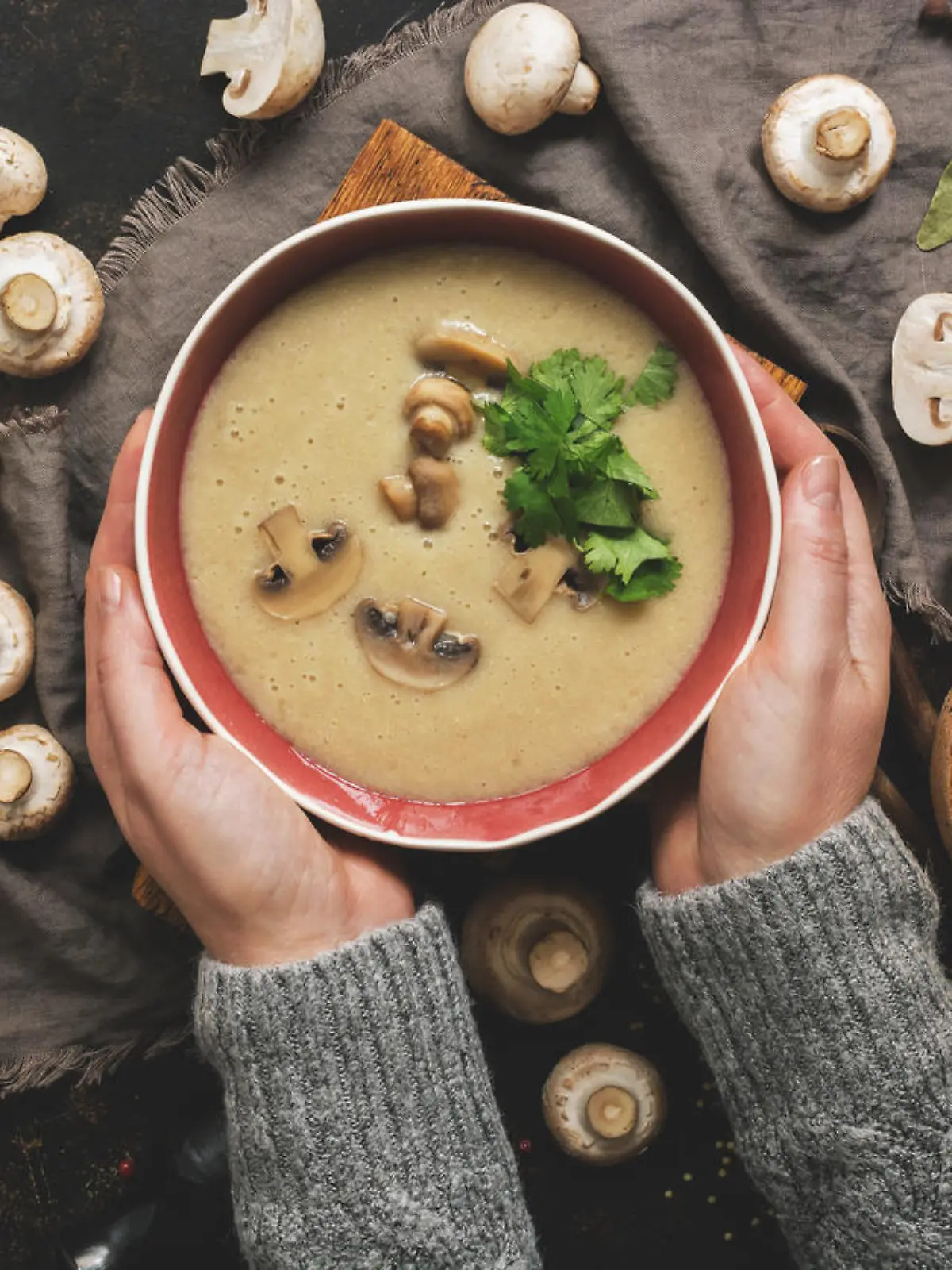 Women hands in a gray sweater holding a bowl of cream of mushroom soup. Hot winter soup on a dark rustic background. Top view, flat lay