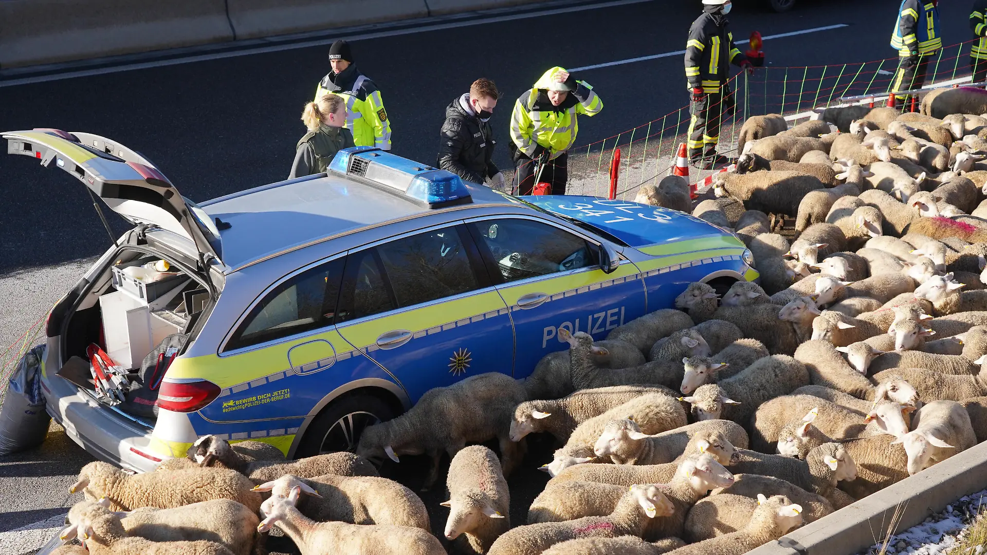 Grubingen Kreis Goeppingen LKW Tiertransport Brand auf der Autobahn A8 Richtung Stuttgart Stau Chaos, 310 Schafe gerettet nach Brand. Foto Andreas Rosar Fotoagentur-Stuttgart 03.12.2021