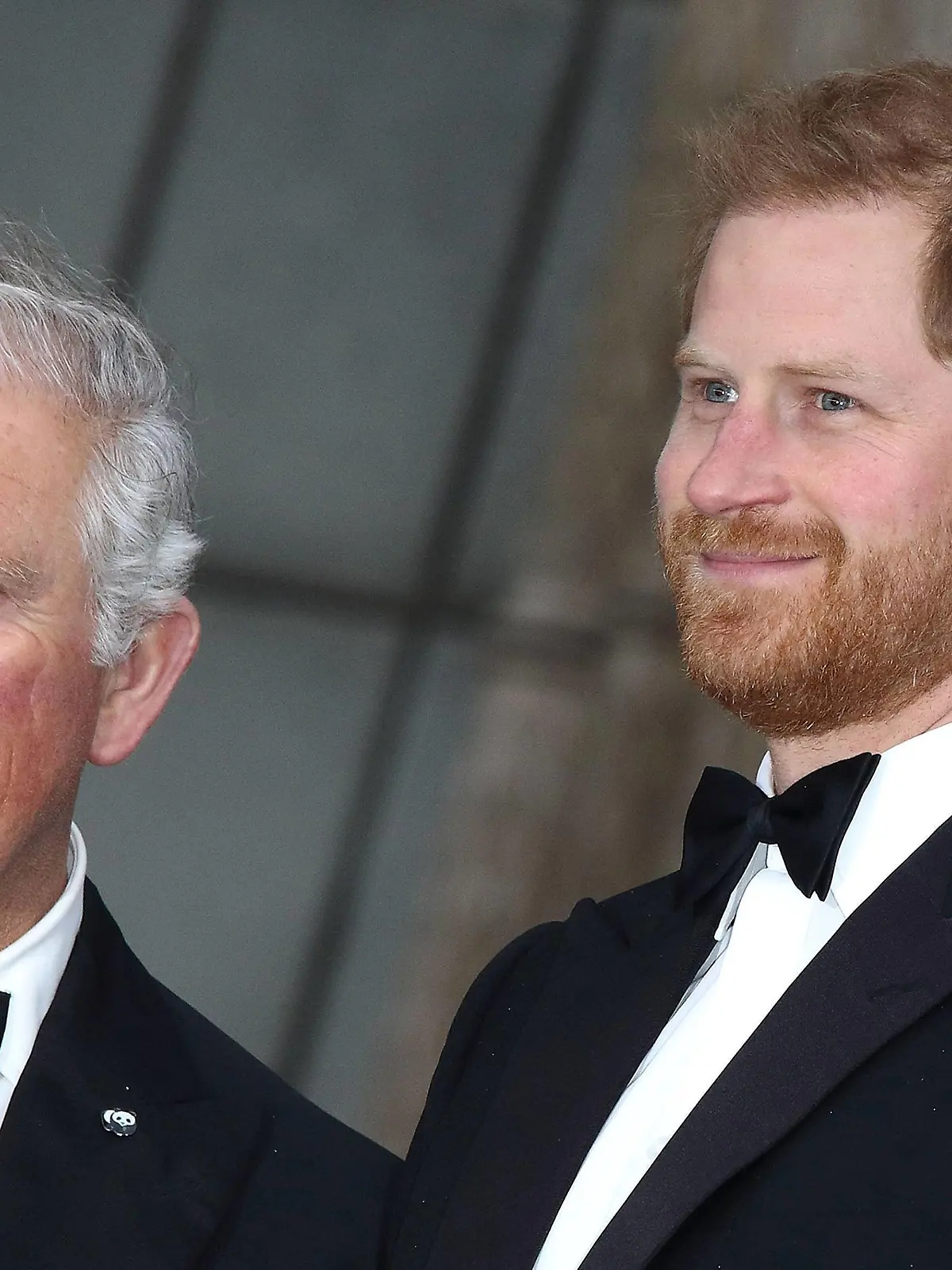  Charles, Prince of Wales und sein Sohn Prinz Harry, Duke of Sussex bei der Premiere der Our Planet Netflix Naturdokumentations- Serie am 4.04.2019 in London Our Planet Serien Premiere in London *** Charles Prince of Wales and his son Prince Harry Duke of Sussex at the premiere of the Our Planet Netflix Nature Documentation Series on 4 04 2019 in London Our Planet Series Premiere in London PUBLICATIONxINxGERxSUIxAUTxONLY