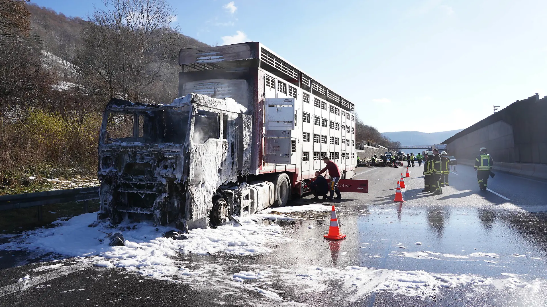 Grubingen Kreis Goeppingen LKW Tiertransport Brand auf der Autobahn A8 Richtung Stuttgart Stau Chaos, 310 Schafe gerettet nach Brand. Foto Andreas Rosar Fotoagentur-Stuttgart 03.12.2021