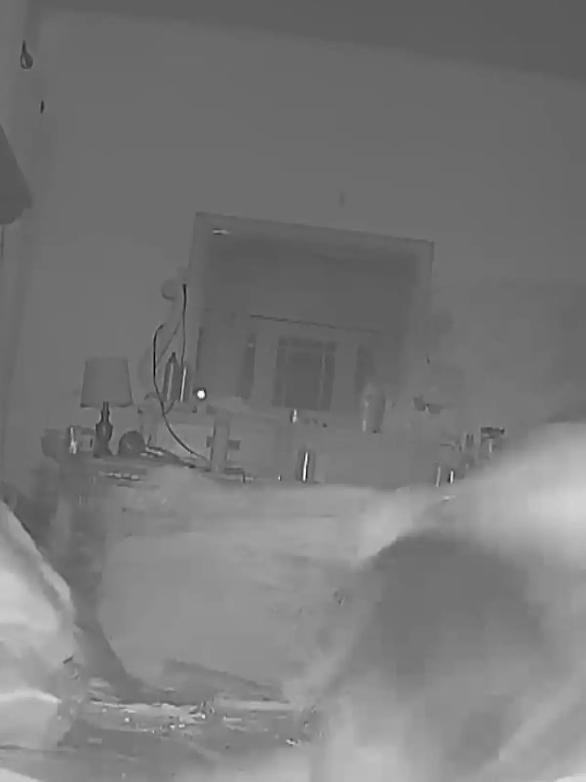 Ein Kater aus dem US-Bundesstaat Indiana weckt seine Besitzer auf unsanfte Art und Weise.